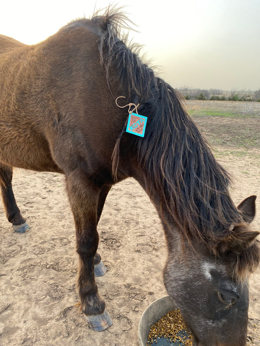 Horse/Livestock I.C.E Tags