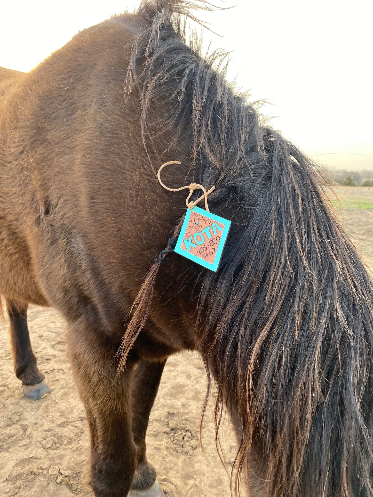 Horse/Livestock I.C.E Tags